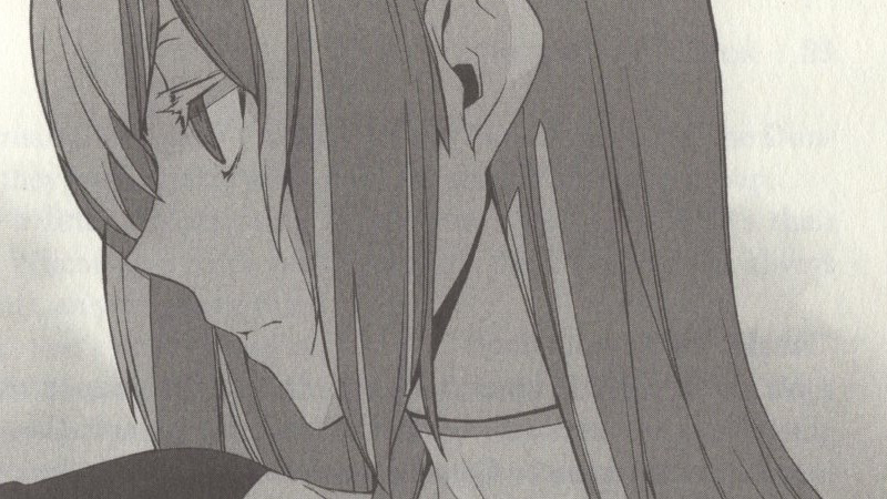 Illustration for article titled Is it Wrong to Try to Pick Up Girls in a Dungeon? Vol. 4 - Light Novel Review
